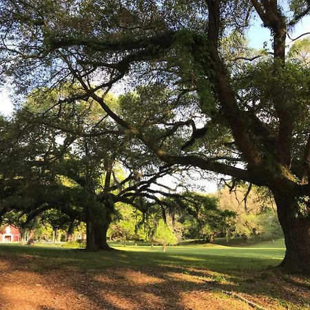 Canemount Plantation Inn Westside Buitenkant foto