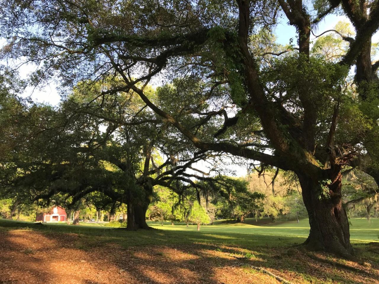 Canemount Plantation Inn Westside Buitenkant foto