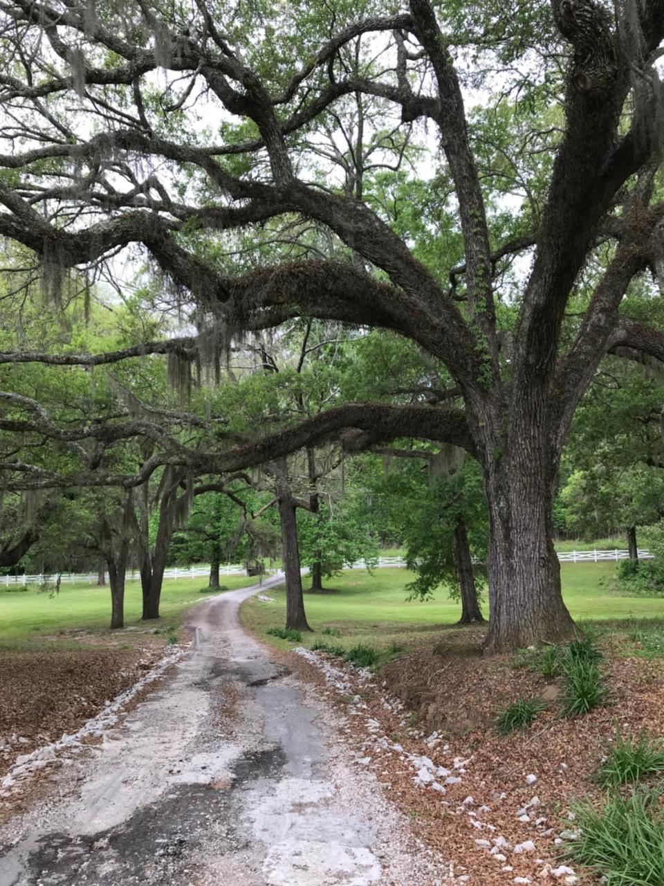 Canemount Plantation Inn Westside Buitenkant foto